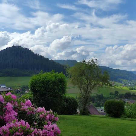 Traumblick Fewo Mit Pool Baiersbronn Exteriér fotografie