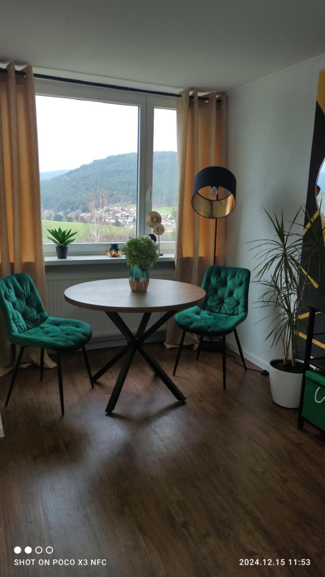 Traumblick Fewo Mit Pool Baiersbronn Exteriér fotografie